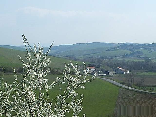 Foto annuncio 11