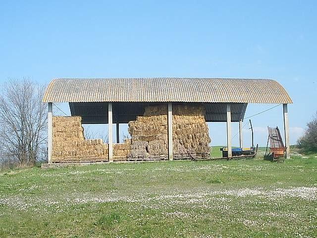 Foto annuncio 9