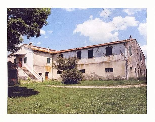 Foto annuncio 6