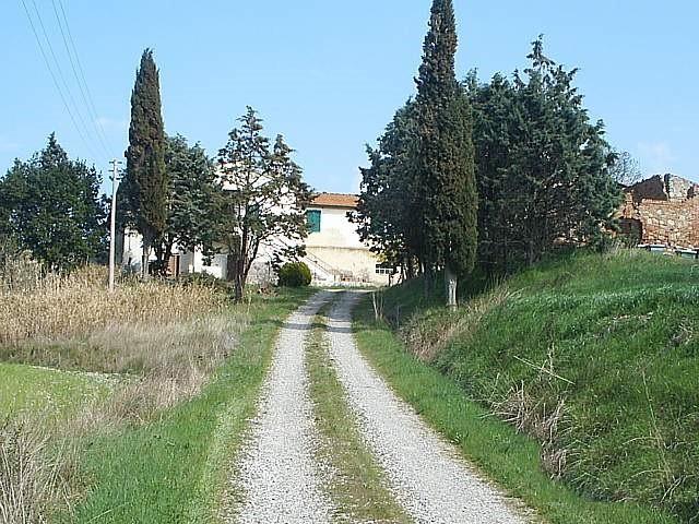Foto annuncio 10