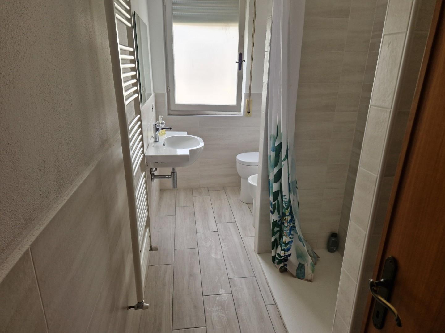 Immagine 15 di Appartamento in affitto  a Rosignano Marittimo