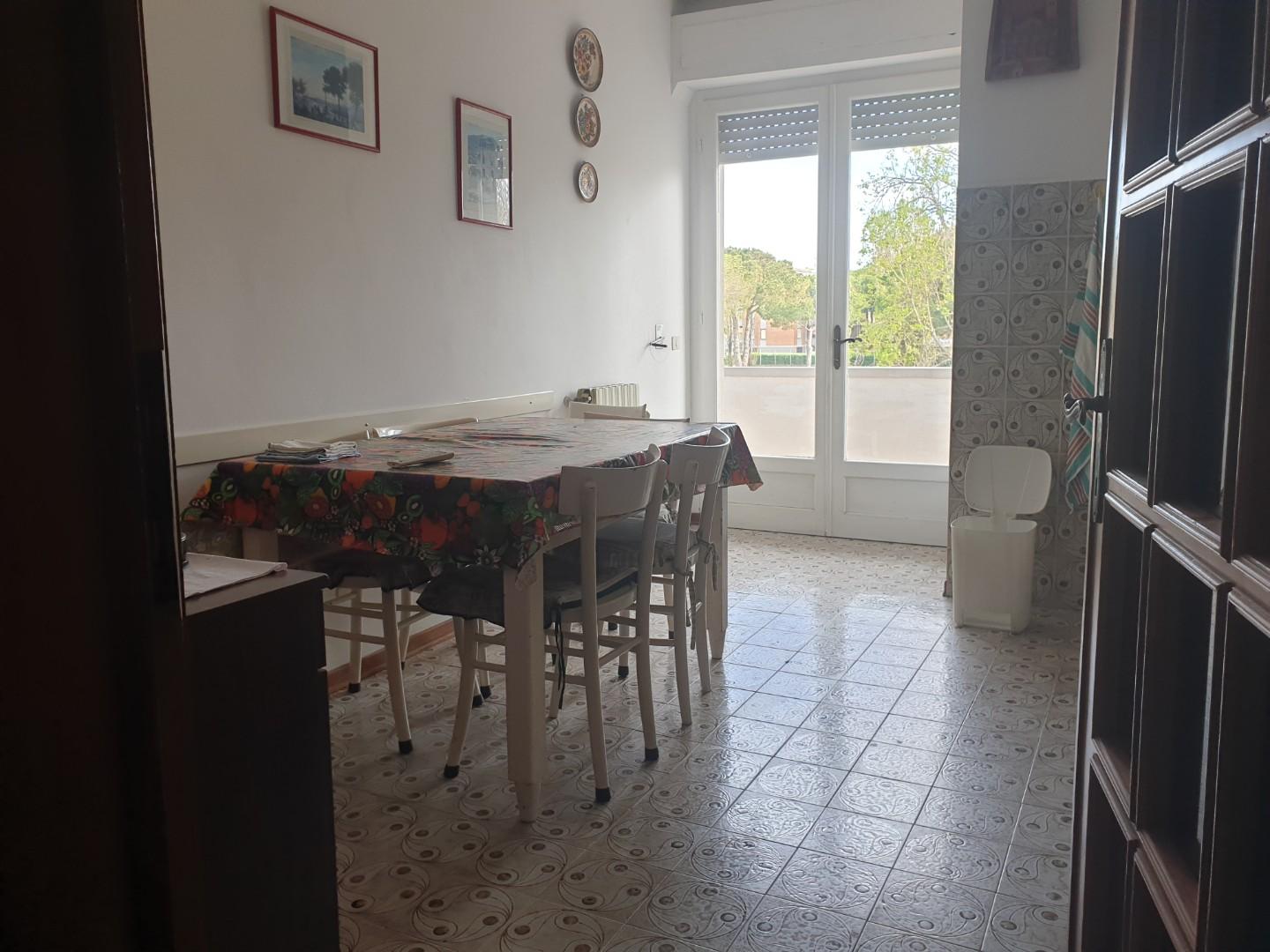 Immagine 4 di Appartamento in affitto  a Rosignano Marittimo