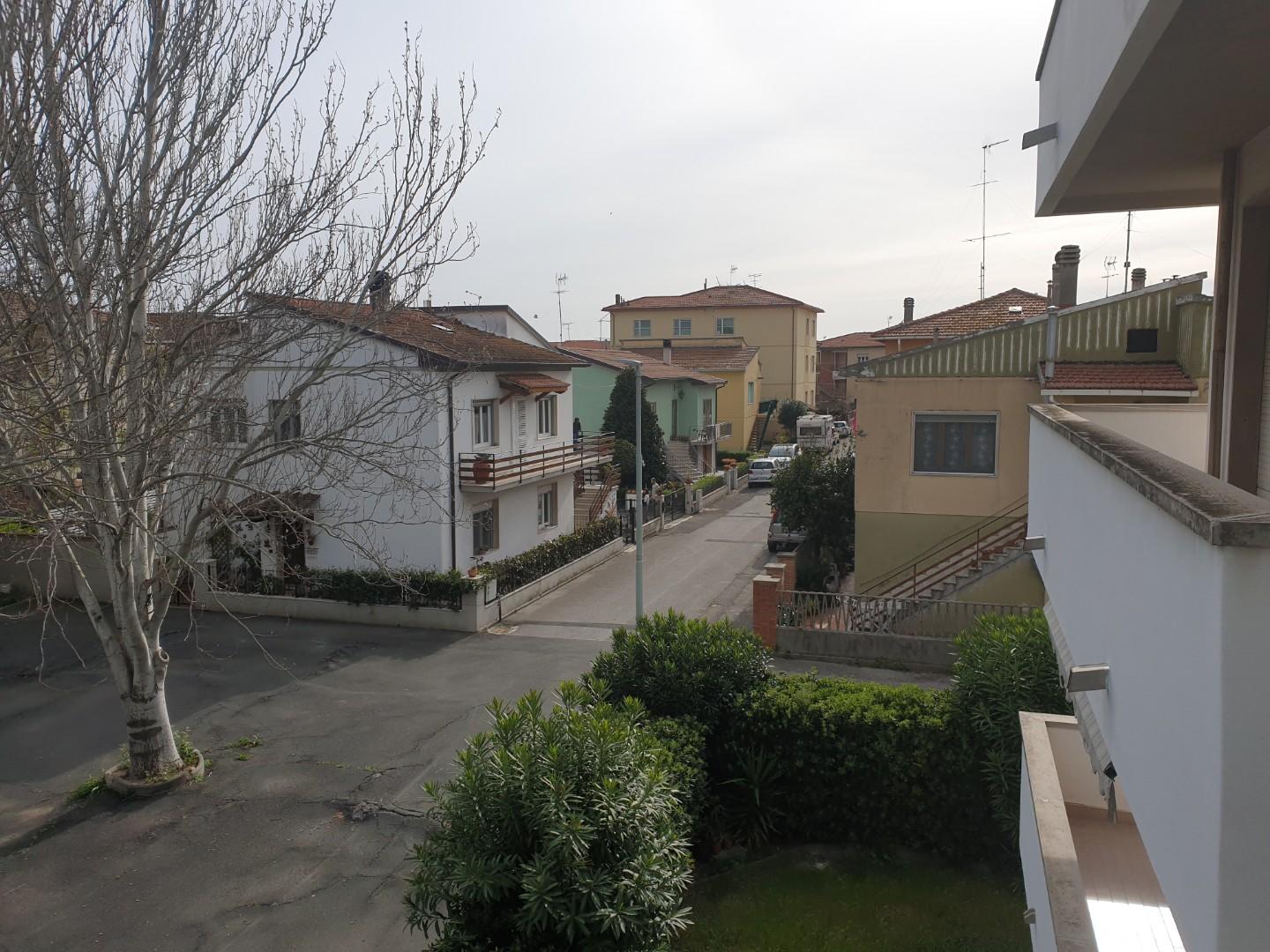 Immagine 11 di Appartamento in affitto  a Rosignano Marittimo