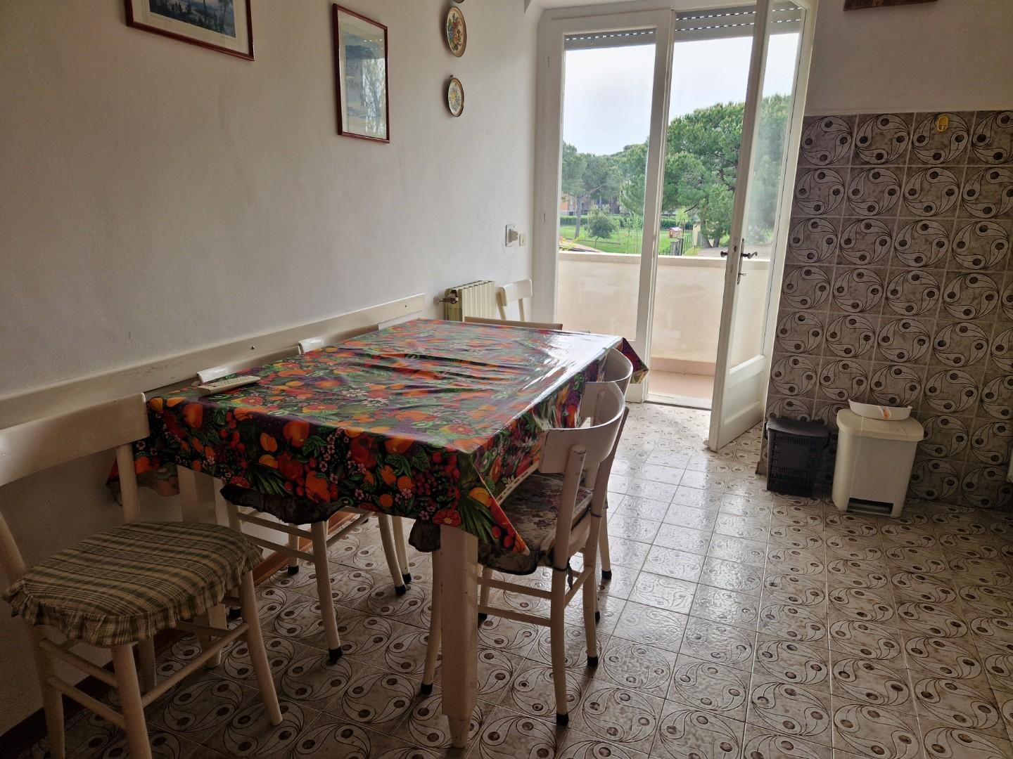 Immagine 12 di Appartamento in affitto  a Rosignano Marittimo