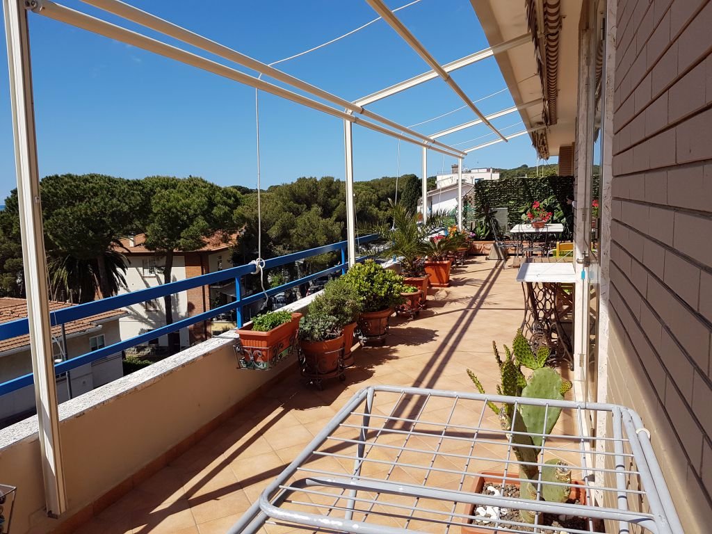 Immagine 2 di Mansarda in vendita  a Rosignano Marittimo