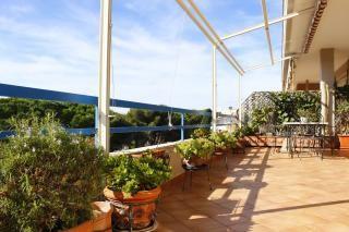 Immagine 4 di Mansarda in vendita  a Rosignano Marittimo