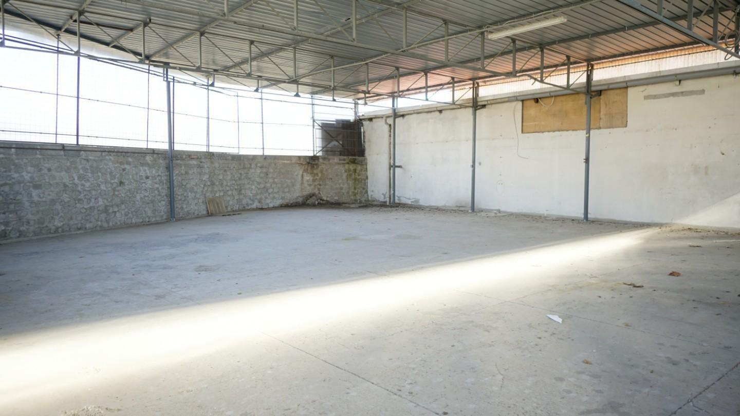 Immagine 9 di Magazzino in affitto  a San Giuliano Terme