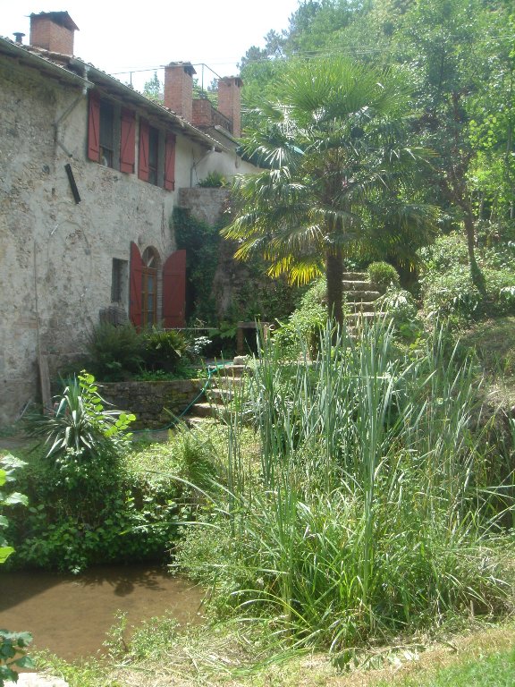 Foto annuncio 16