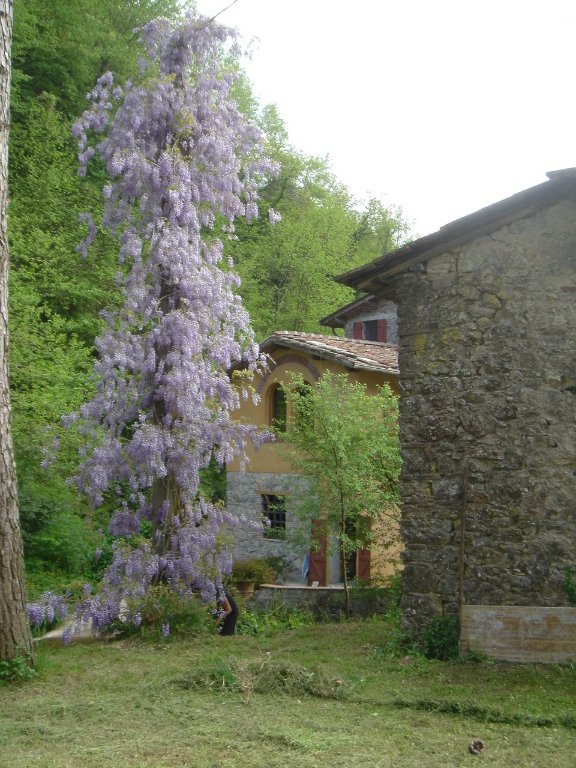 Foto annuncio 9