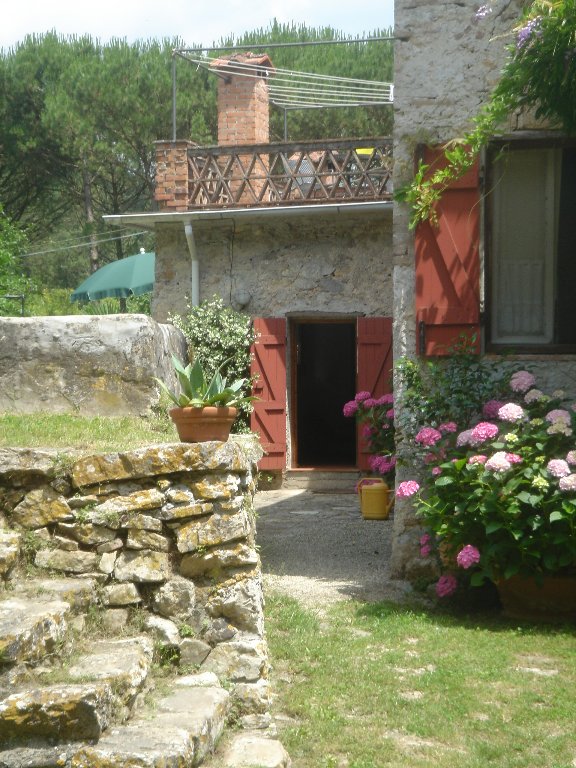 Foto annuncio 24