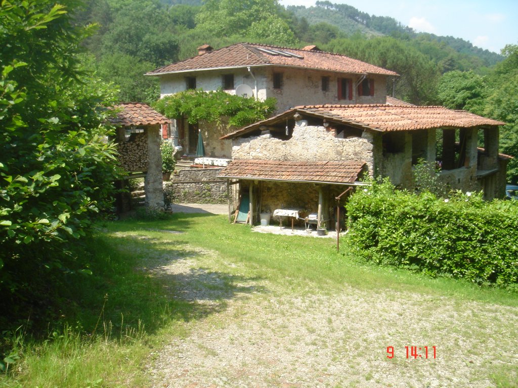 Foto annuncio 30