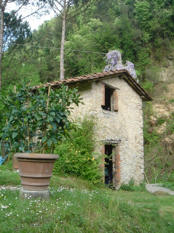 Foto annuncio 10