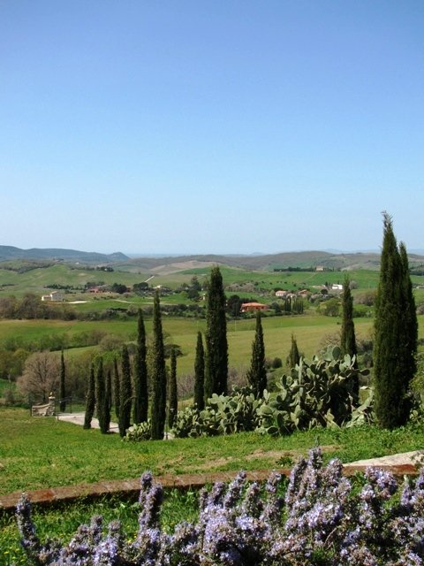 Foto annuncio 21
