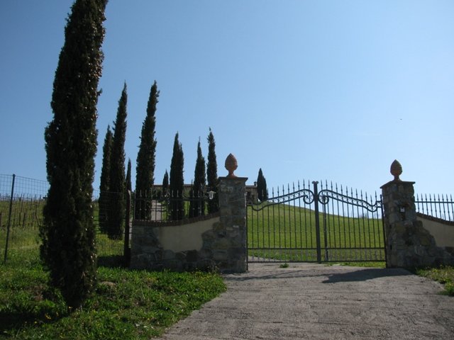 Foto annuncio 11
