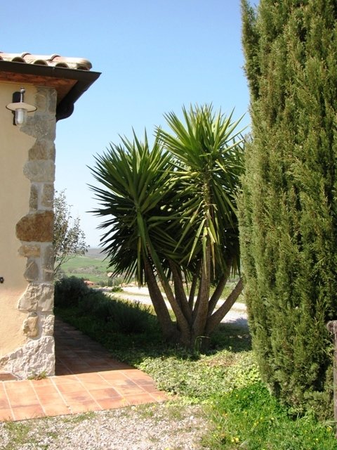 Foto annuncio 6
