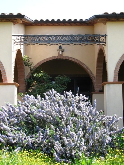 Foto annuncio 5