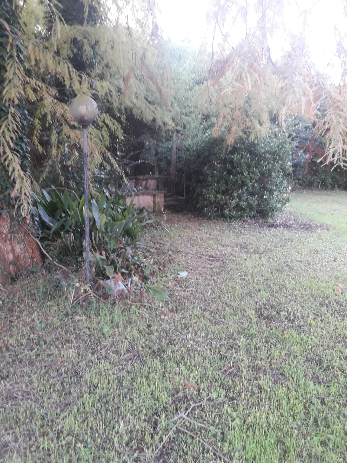 Foto annuncio 23