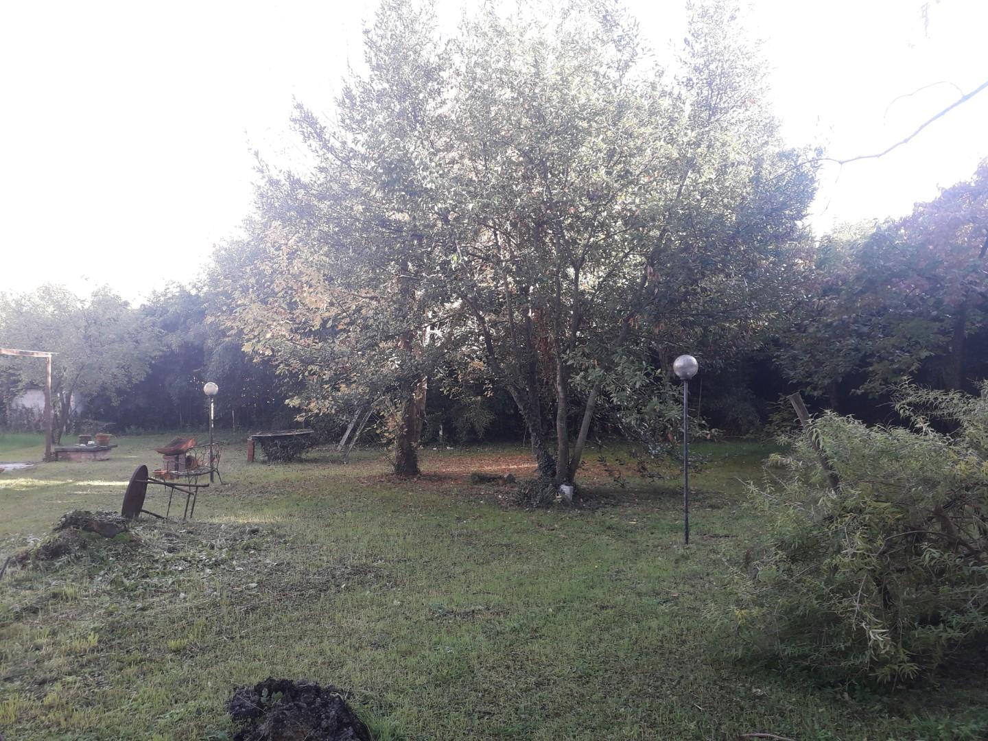 Foto annuncio 25