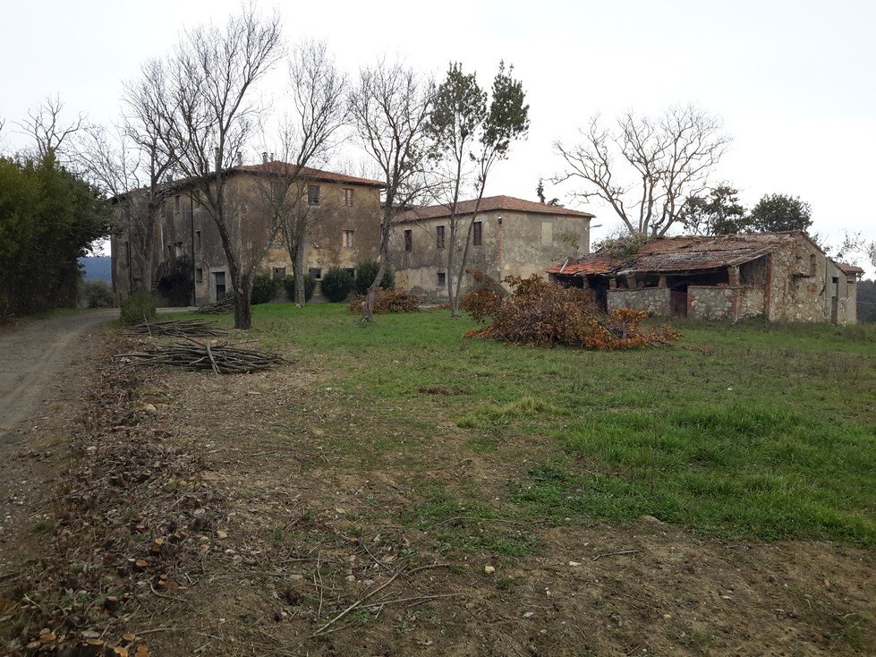 Foto annuncio 13