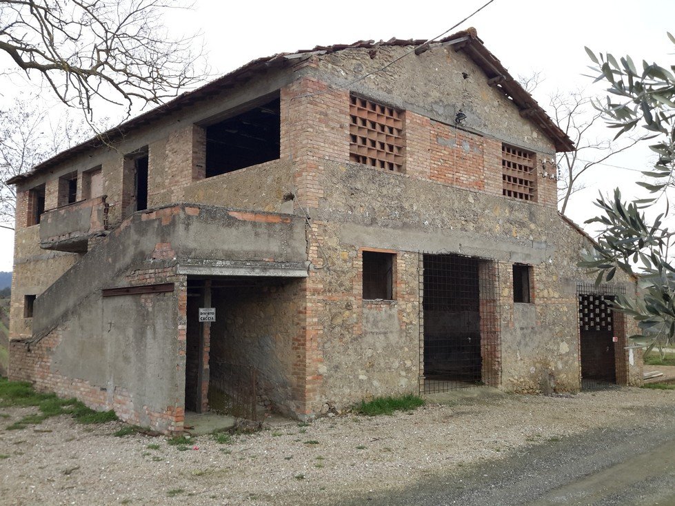 Foto annuncio 11