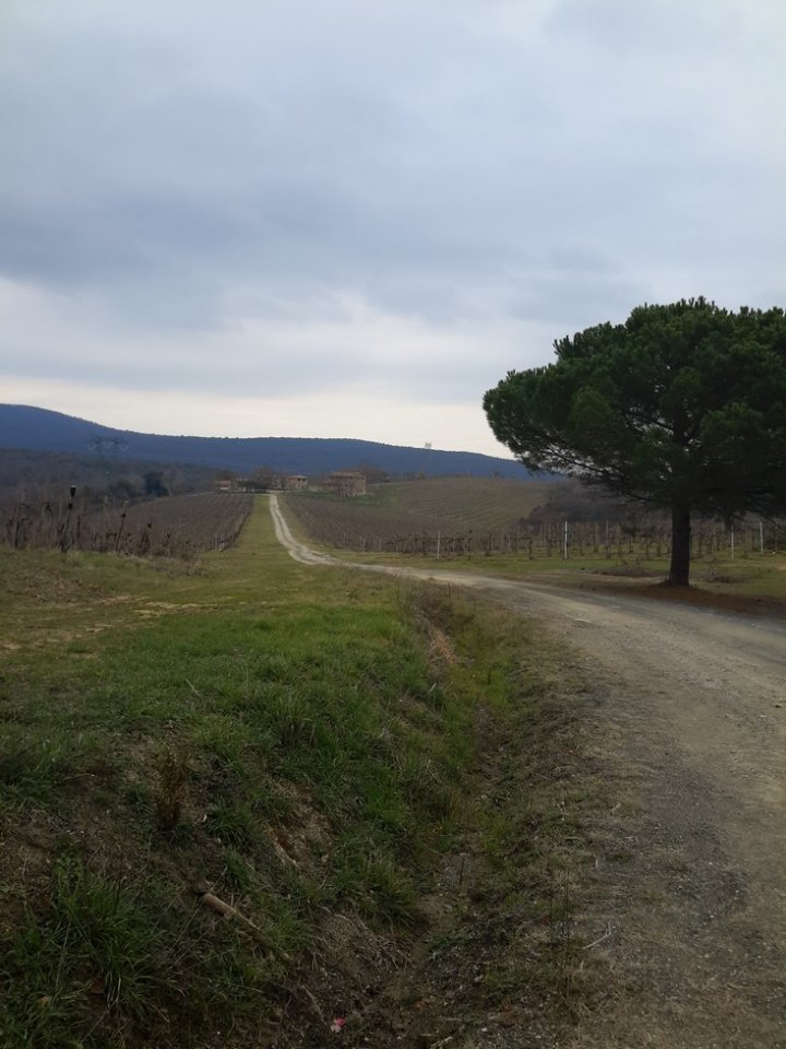 Foto annuncio 18