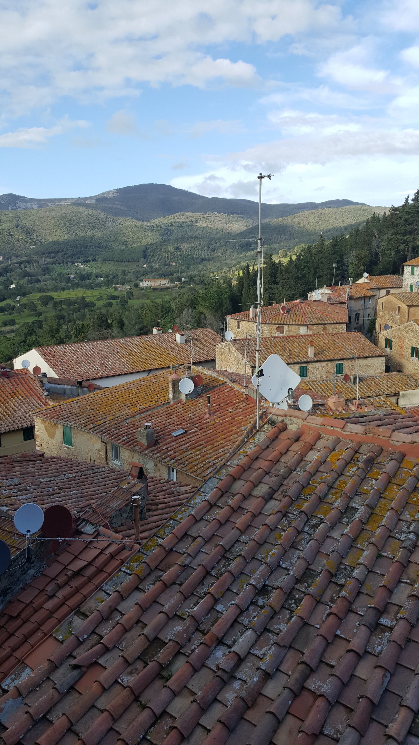 Foto annuncio 12