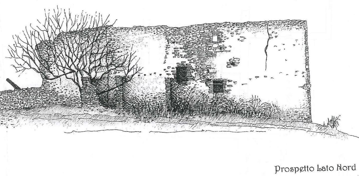 Immagine 4 di Rustico / casale in vendita  a Casole D'elsa