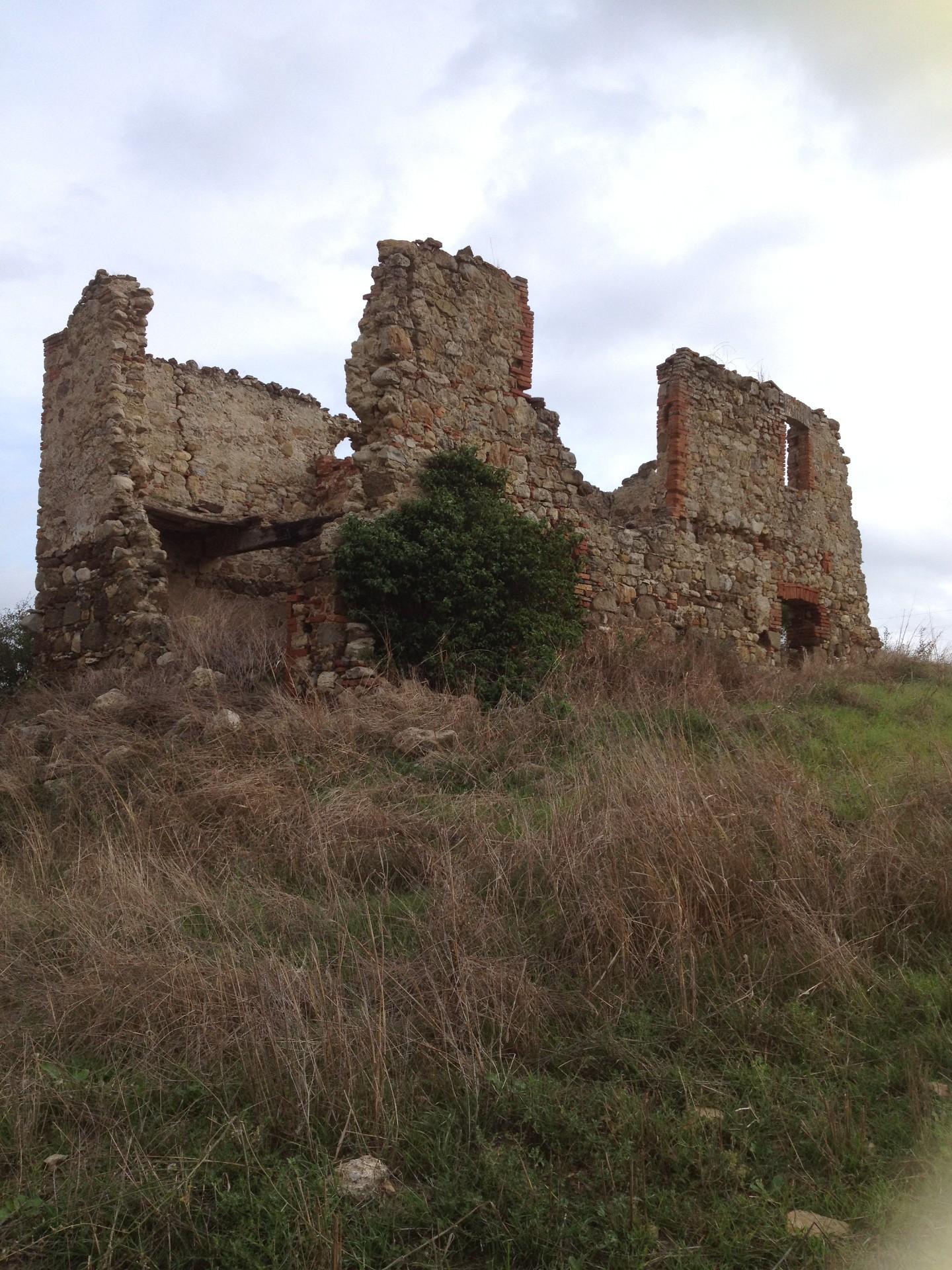 Immagine 2 di Rustico / casale in vendita  a Casole D'elsa