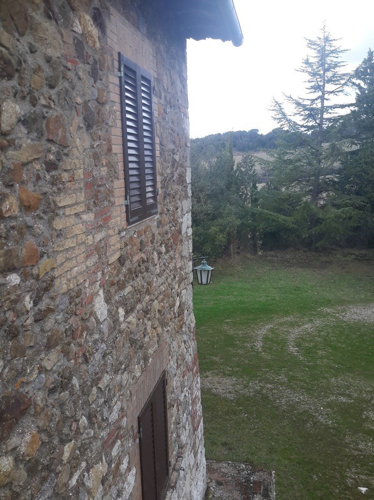 Foto annuncio 7
