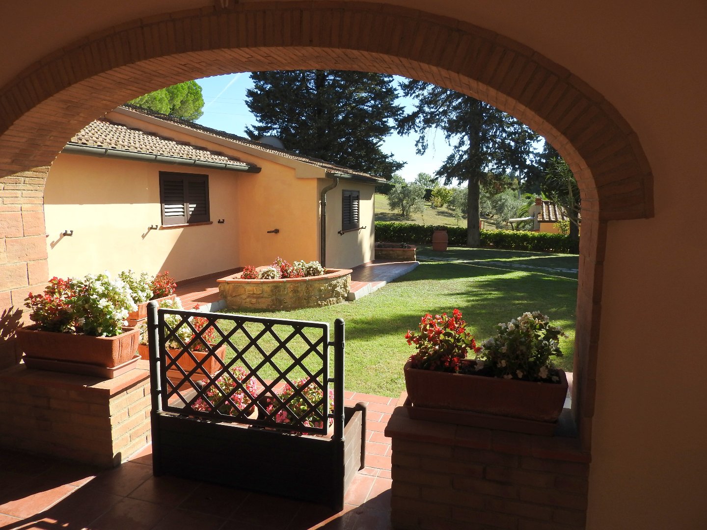 Foto annuncio 5