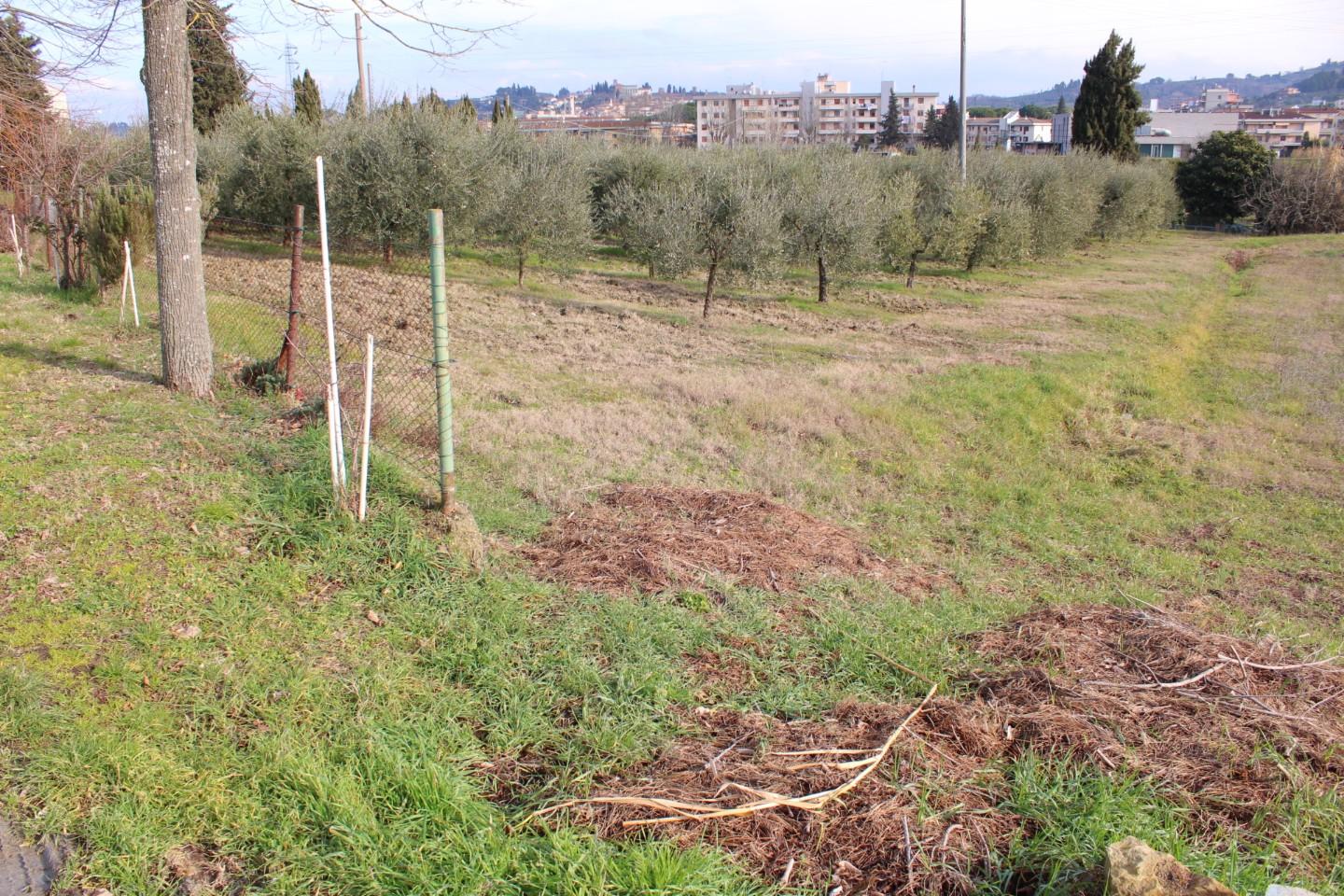 Immagine 5 di Casa indipendente in vendita  a Castelfiorentino