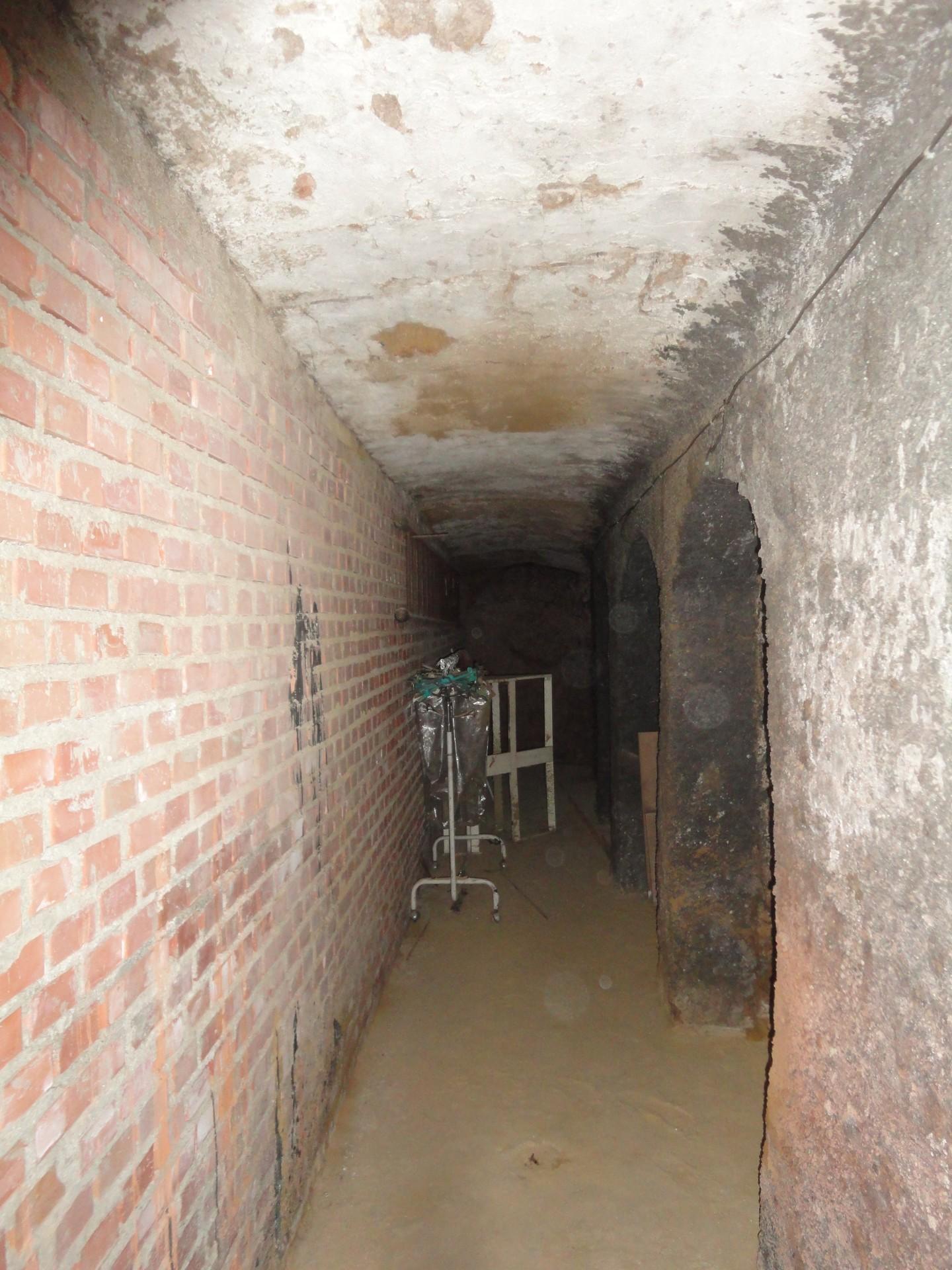 Immagine 4 di Locale commerciale in vendita  a Peccioli