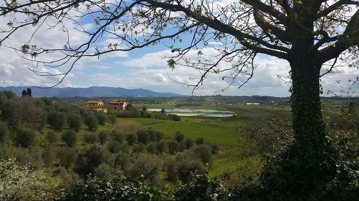 Foto annuncio 11
