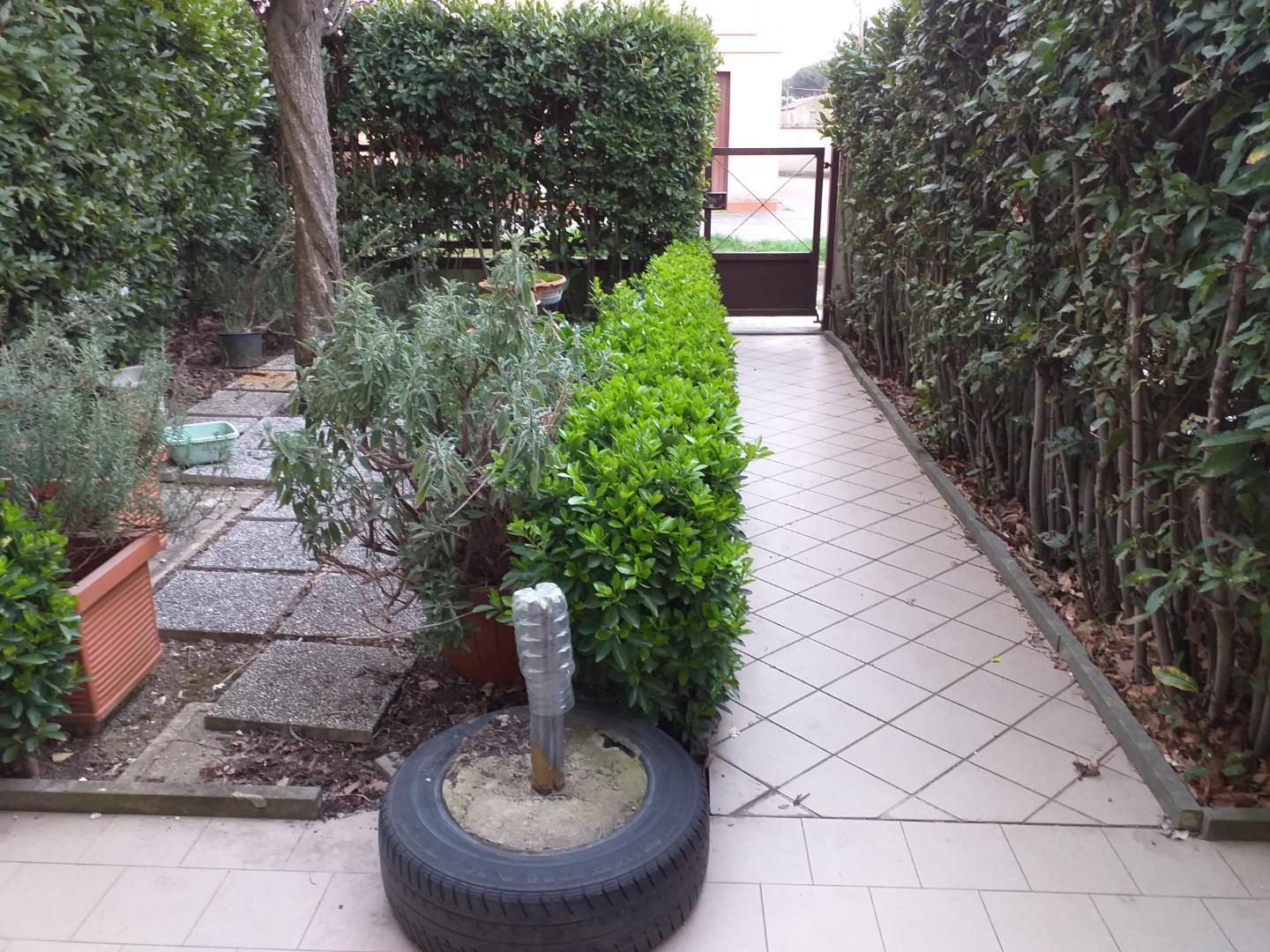 Immagine 18 di Terratetto in vendita  a Empoli