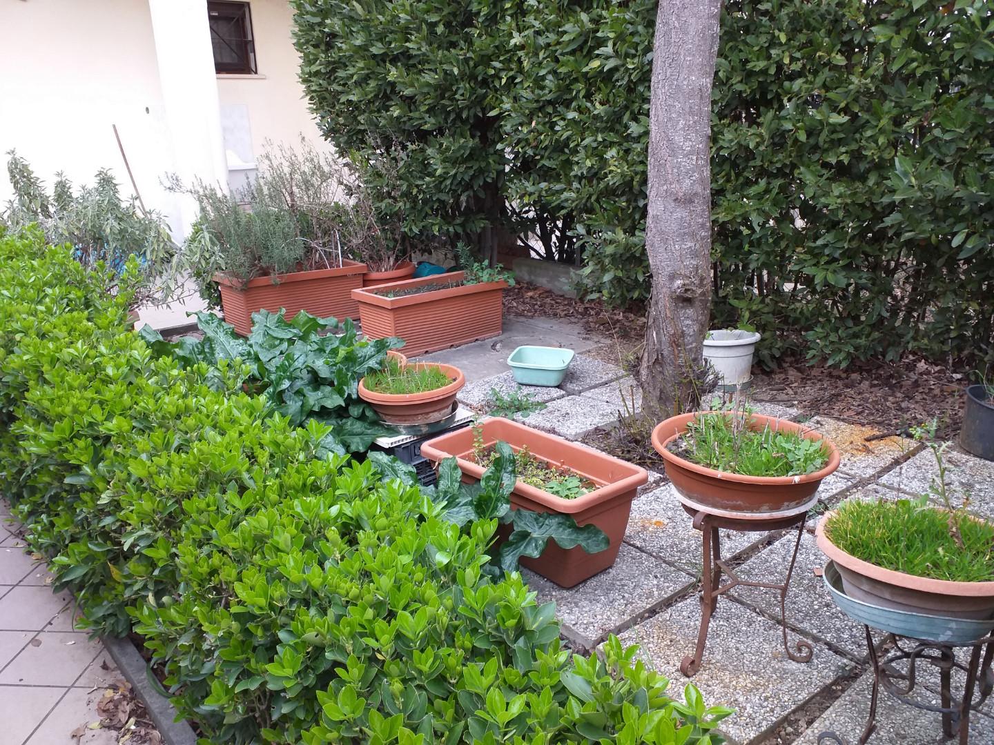 Immagine 19 di Terratetto in vendita  a Empoli