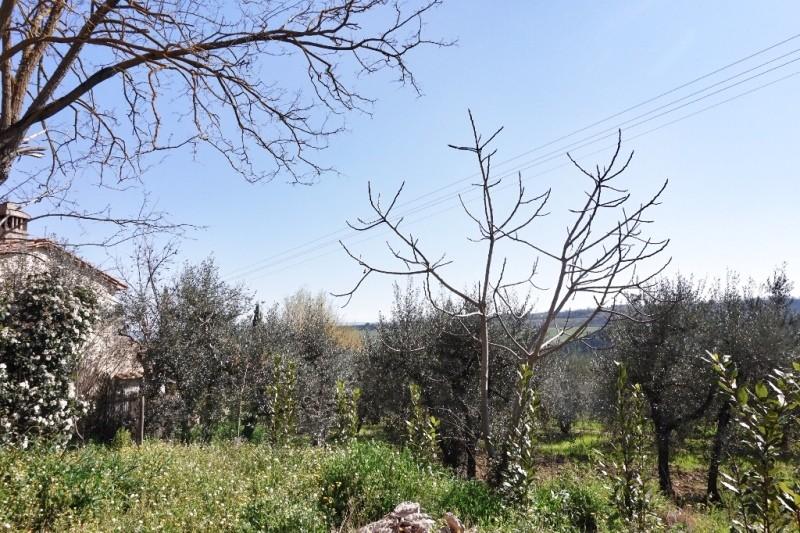 Foto annuncio 2