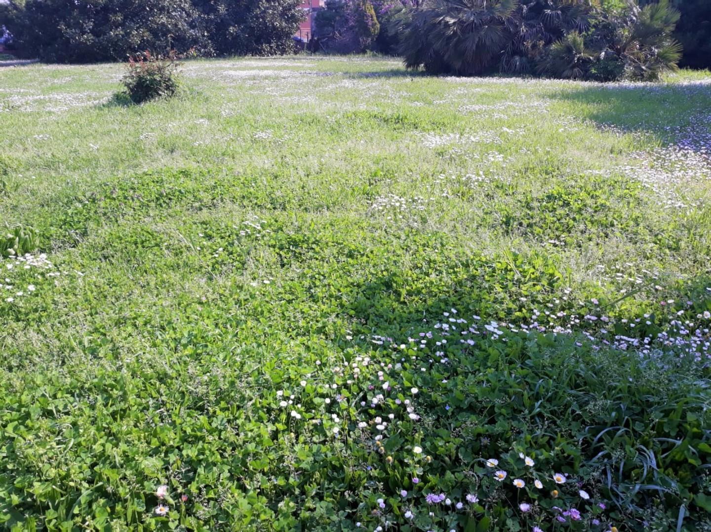 Immagine 25 di Villa in vendita  a Cascina