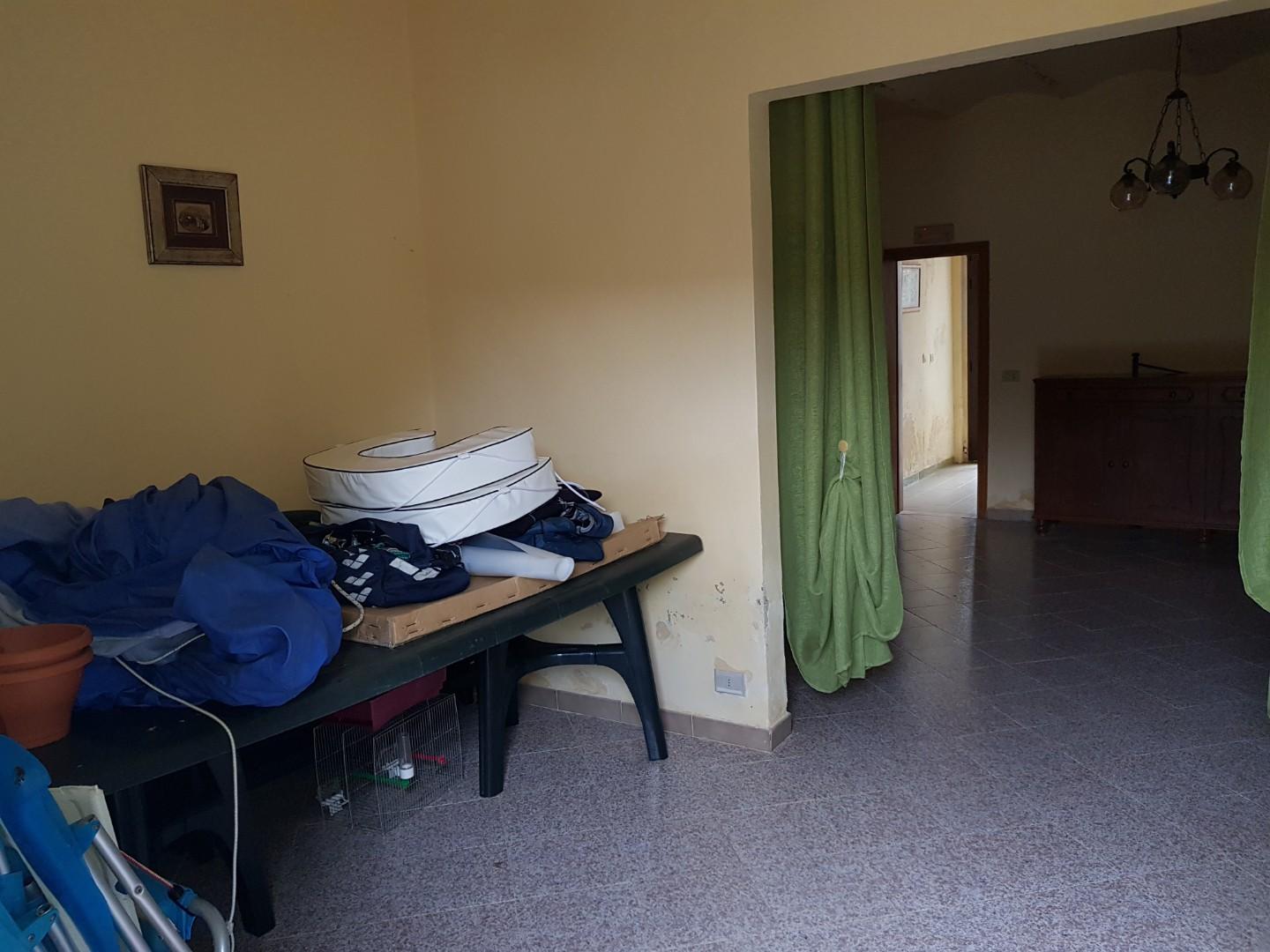 Foto annuncio 12
