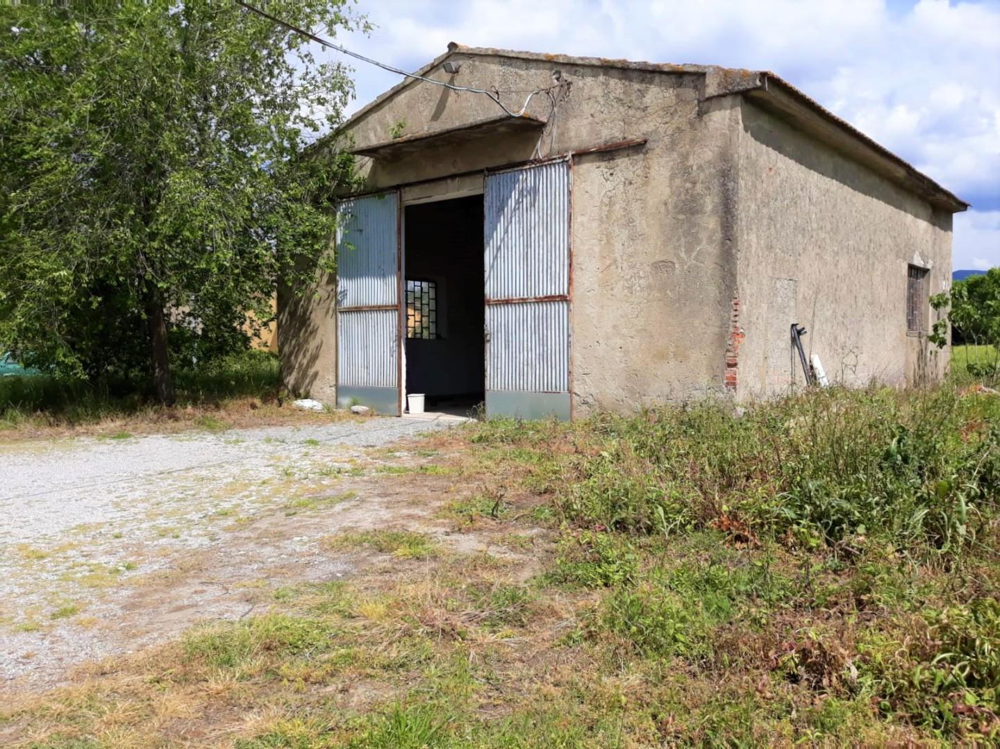 Immagine 4 di Capannone industriale in vendita  a Cascina