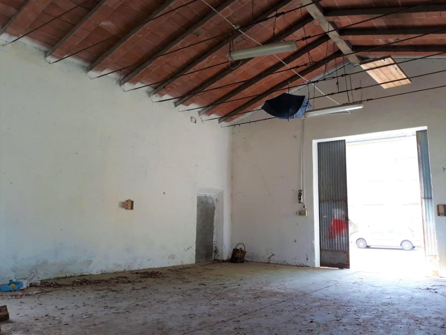 Immagine 3 di Capannone industriale in vendita  a Cascina