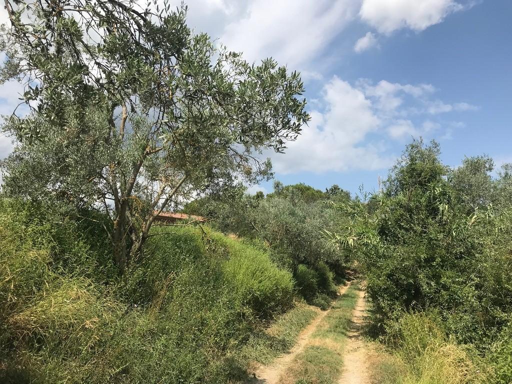 Foto annuncio 9
