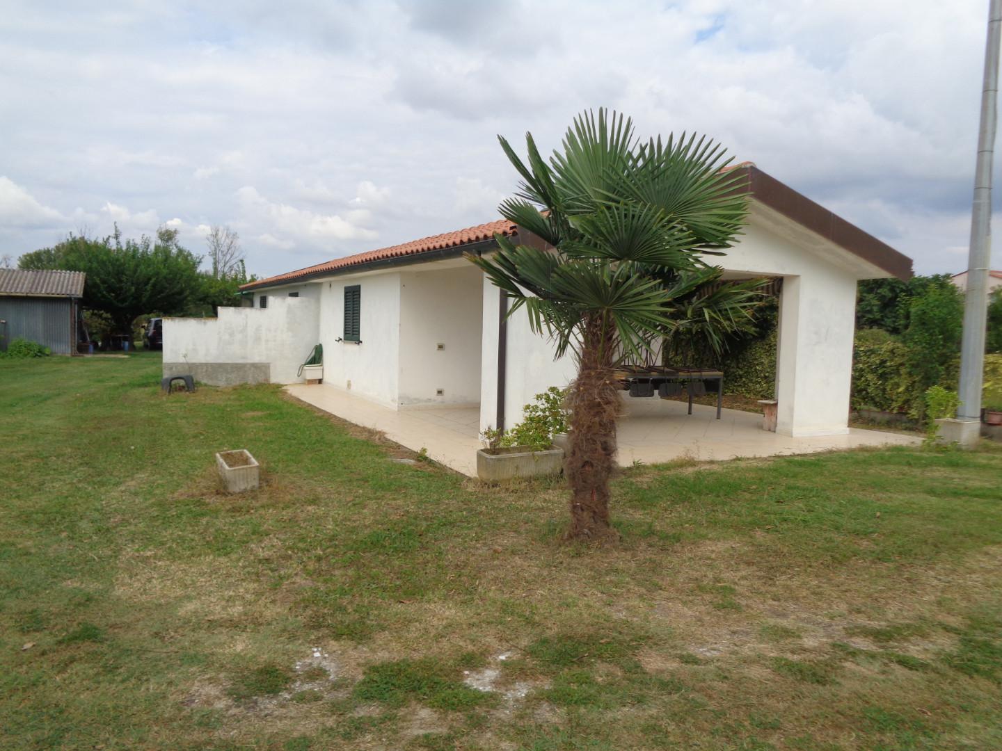 Immagine 6 di Terreno agricolo in vendita  a Pisa