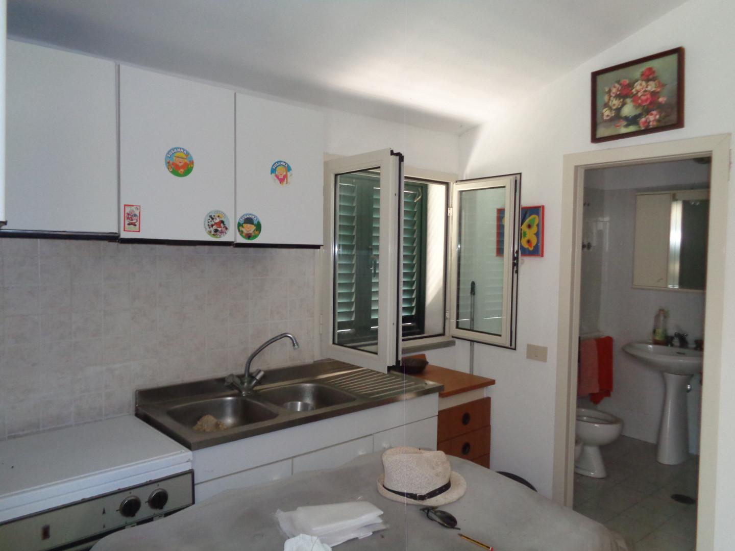 Immagine 12 di Terreno agricolo in vendita  a Pisa