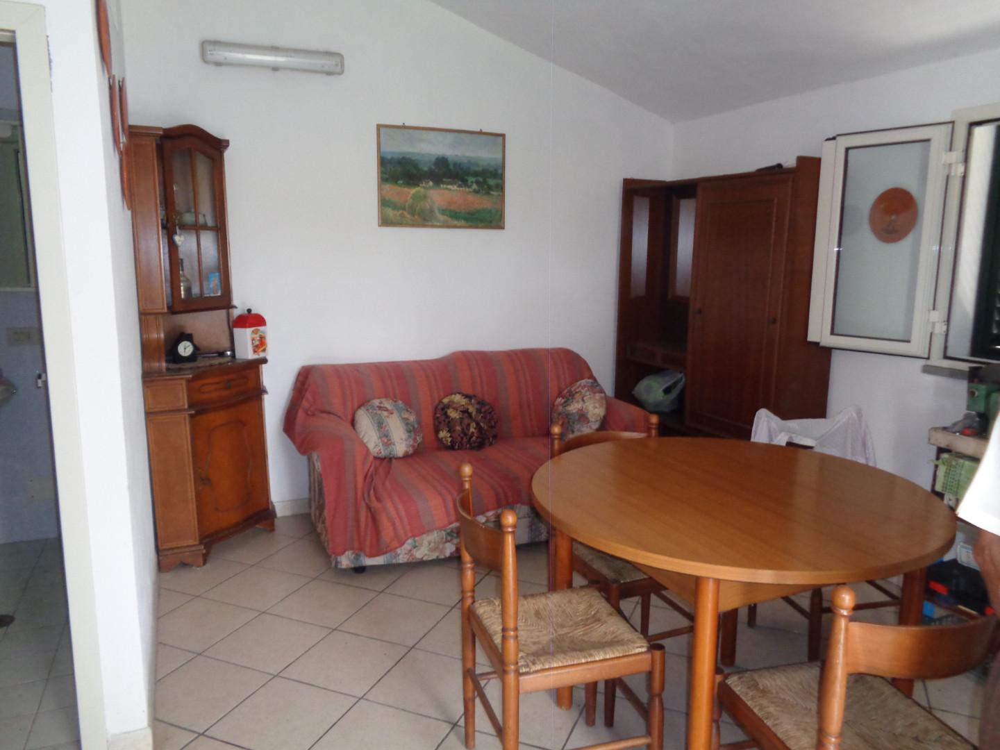 Immagine 13 di Terreno agricolo in vendita  a Pisa