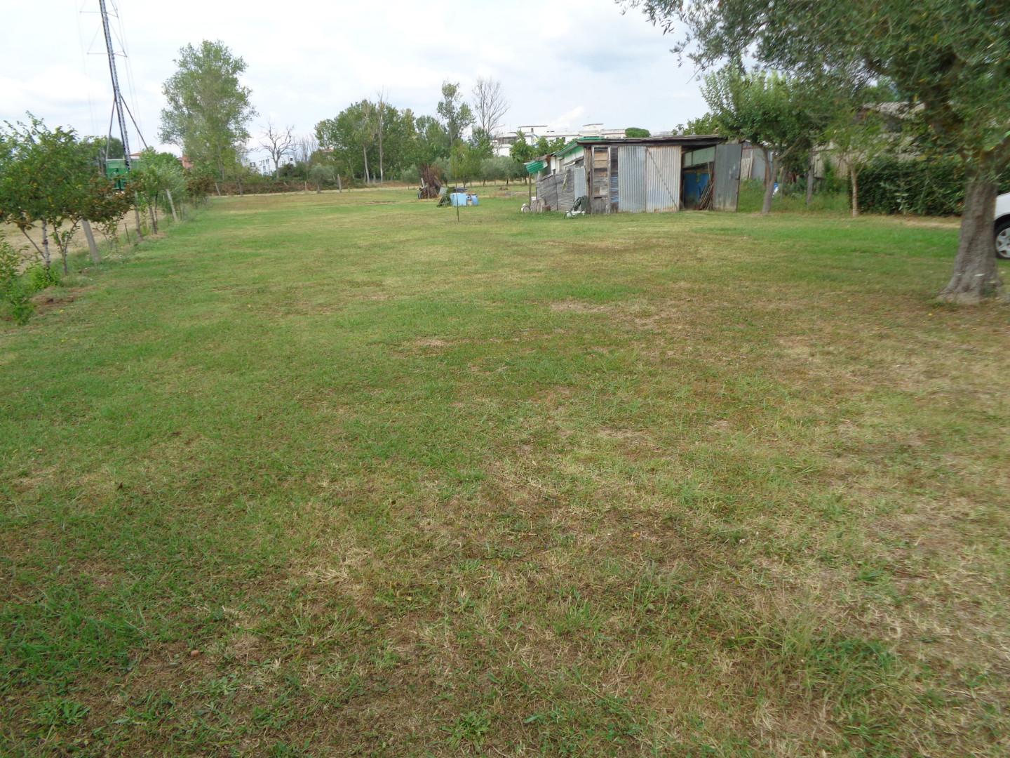 Immagine 2 di Terreno agricolo in vendita  a Pisa