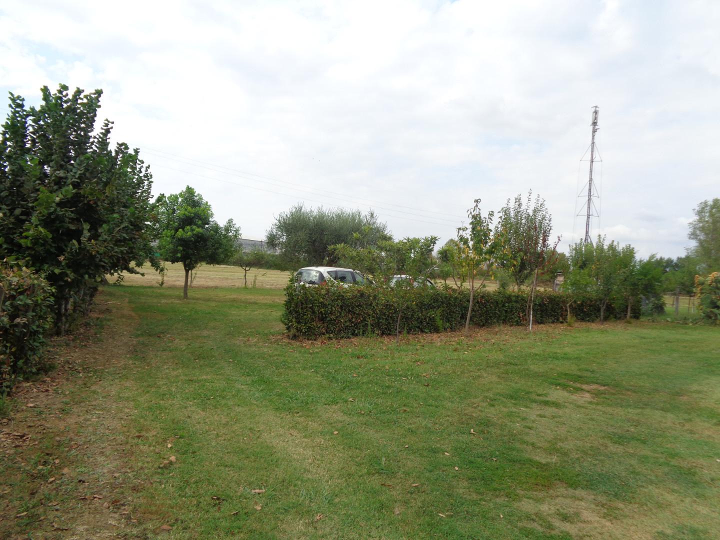 Immagine 7 di Terreno agricolo in vendita  a Pisa