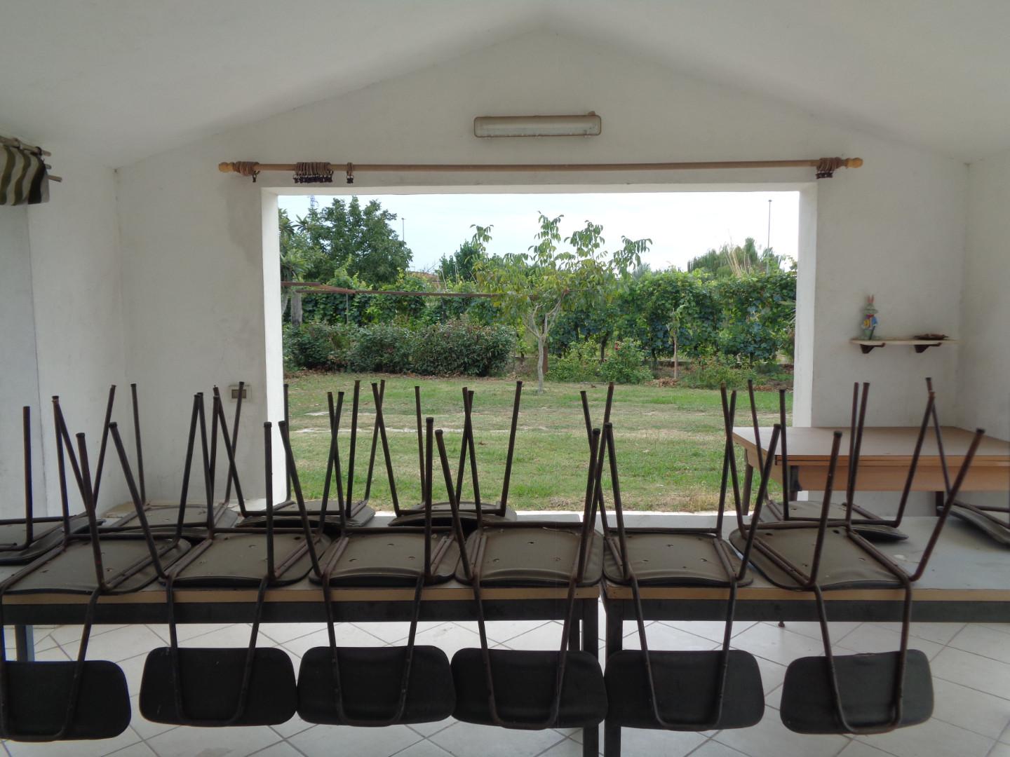 Immagine 1 di Terreno agricolo in vendita  a Pisa