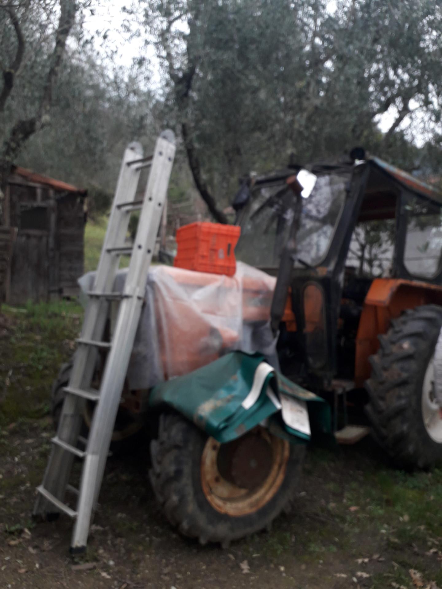 Foto annuncio 28
