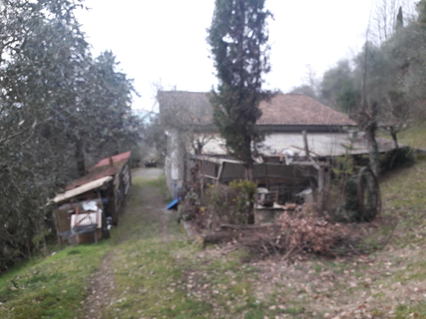 Foto annuncio 13