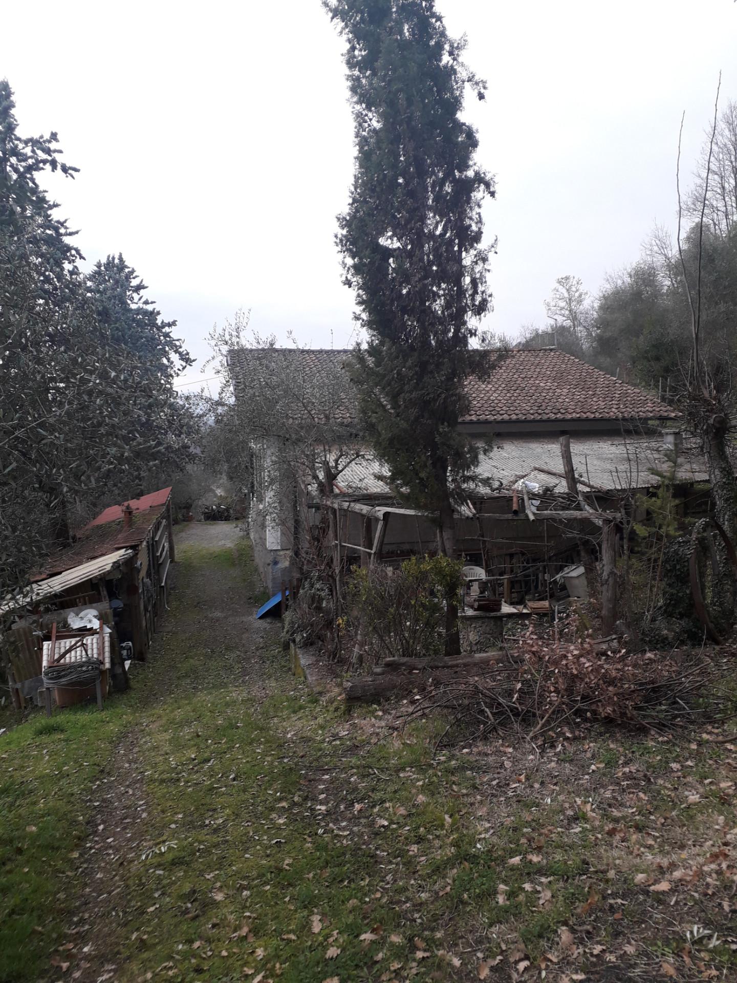 Foto annuncio 12